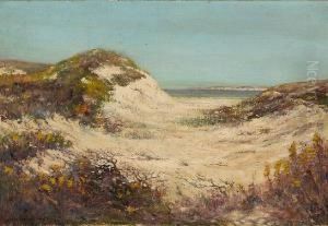 Summer Sand Dunes by Louis H. Richardson