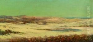 Quiet Dunes And Tidal Pool by Louis H. Richardson