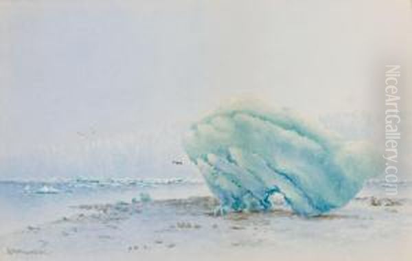 Muir Glacier - view 1