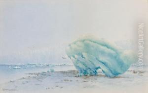 Muir Glacier by Theodore J. Richardson