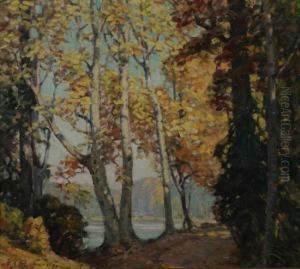 The Sycamores by Volney Allan Richardson