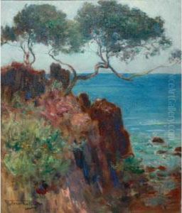 The Rocky Coast