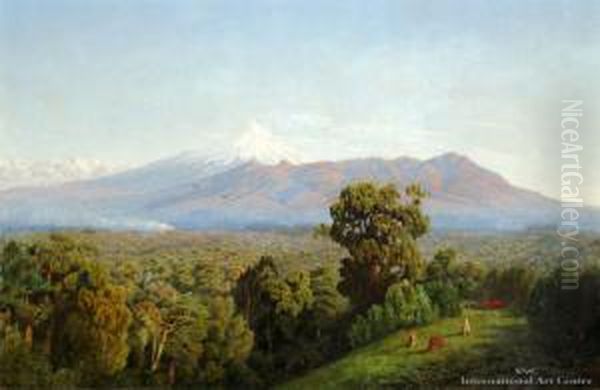Mt Egmont - view 1
