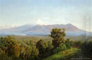 Mt Egmont by James Crowe Richmond