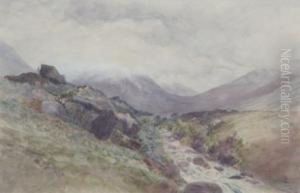 Mountain Pass, Southernalps by James Crowe Richmond