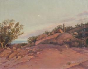 Desert Twilight Desert Twilight