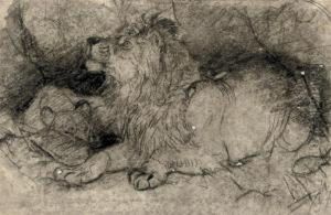 Study Of A Lion And Lioness by Josef Wolft Richter