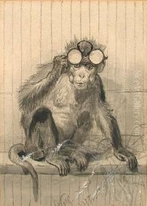 A Monkey Wearing Pinc-nez Glasses by Josef Wolft Richter