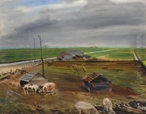 Pigfarm In A Polder Landscape