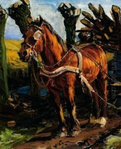 A Horse And Cart A Horse And Cart