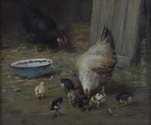 Feeding The Hens Feeding The Hens