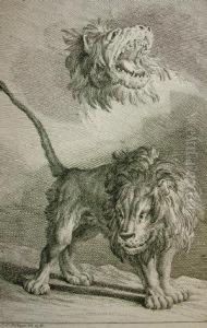 Lion Studies Lion Studies