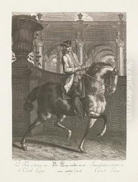 Die Neue Reitschuler - view 1