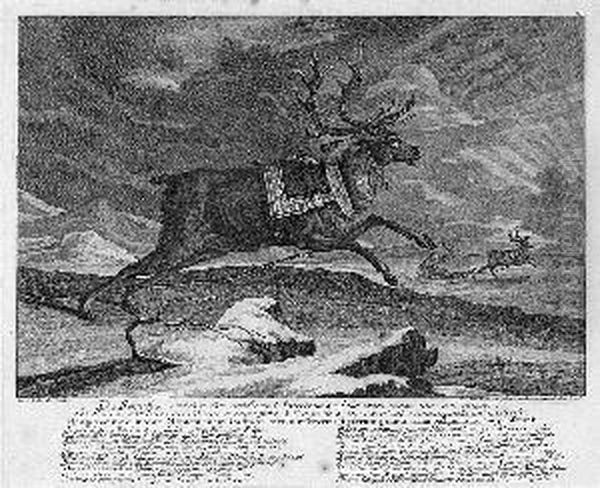 J.e. "die Rennthier". Kupferstich. Ba: 35 X 43 Cm. Rahmen - view 1