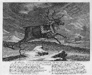 J.e. "die Rennthier". Kupferstich. Ba: 35 X 43 Cm. Rahmen