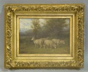 Sheep Sheep