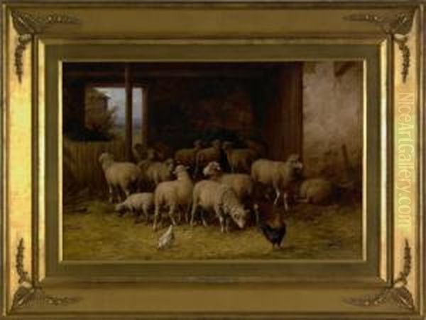 Barn Scene With Sheep - view 1