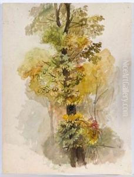 Etude D'arbre (recto Et Verso) - view 1