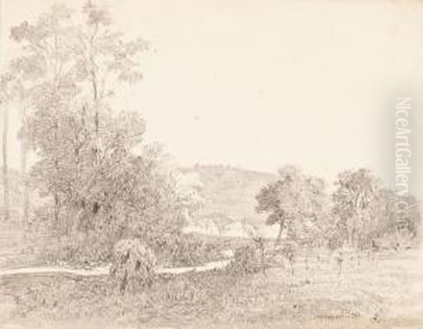Paisaje De Arbucies - view 1