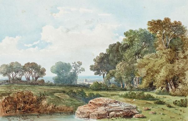 Paisaje - view 1
