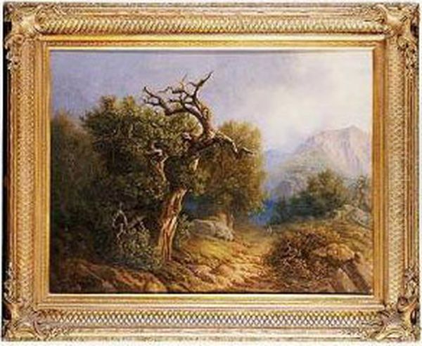 Paisaje Conmontanas - view 1