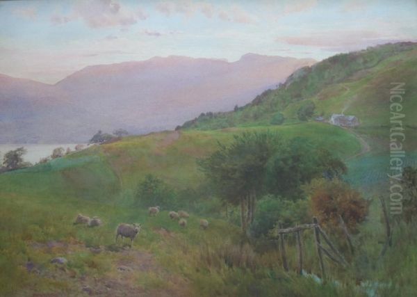 Sheep At Sundown - view 1