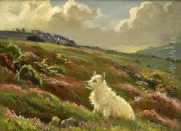 'cappie' - Near Maiden Castle Grinton Swaledale' - view 1