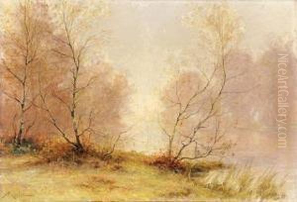 Sous-bois - view 1