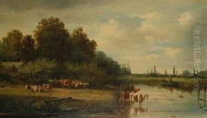 Cattle Watering