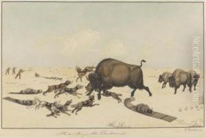 Hunting The Bison Hunting The Bison