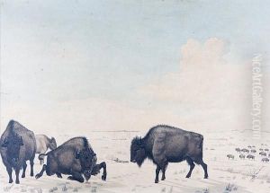 Indian Hunter Shooting At Bison Herd Indian Hunter Shooting At Bison Herd