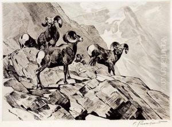 Among The Crags - view 1