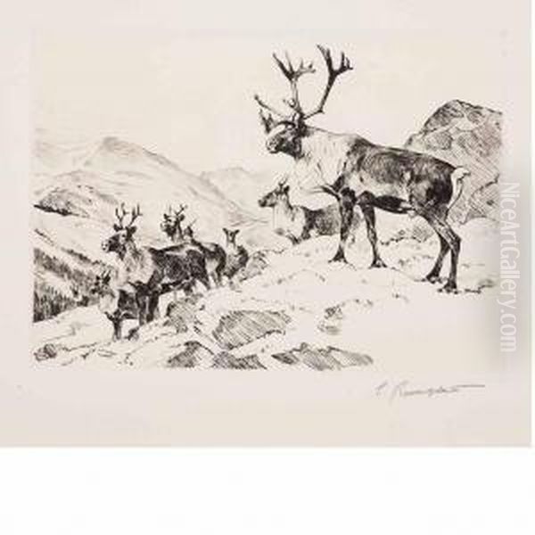 Mountain Caribou - view 1