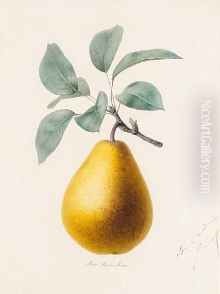 Studies Of Fruit And Flowers, A Set Of Four - view 1