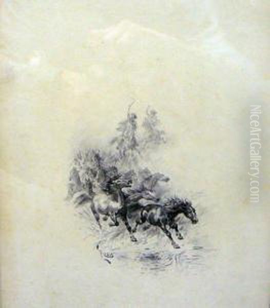 Cheval Couche Dans La Tempete - view 1