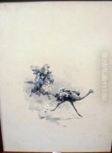 Chasse A L'autruche