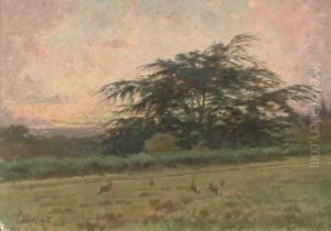 Bunnies At Dawn by P.E. Rischgitz