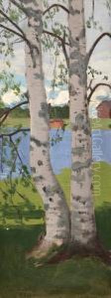 Birches On The Shore - view 1