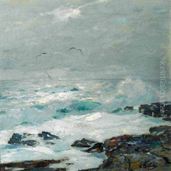 Surf Breaking On The Rocks With Sea Gulls Above - view 1