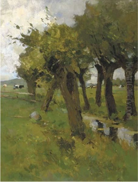 Willows By A Stream - view 1
