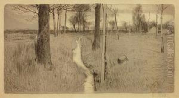 Wiese Mitbachlein - view 1