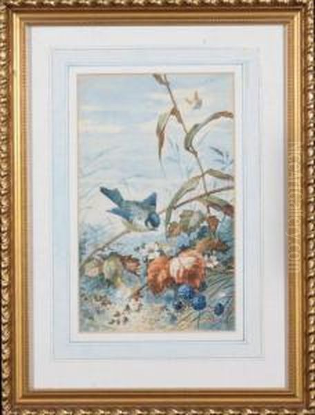 A Bluebird And Butterflies In A Blackberry Bush - view 1