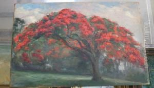 Poinciana by Richard Godfrey Rivers