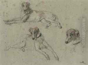 Study Of Greyhounds by Briton Riviere