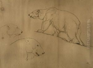 Study For 'beyond Man's Footsteps' by Briton Riviere