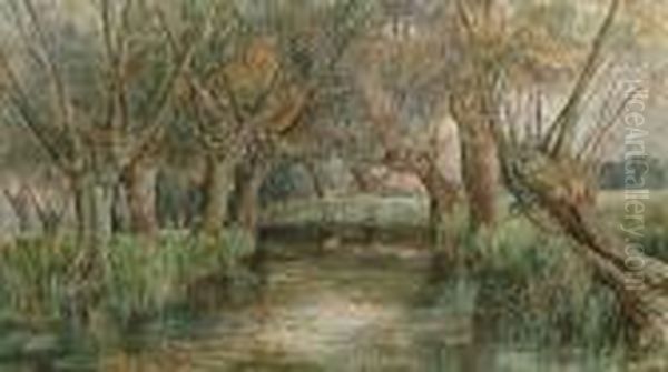 A Tree-lined River Bank - view 1