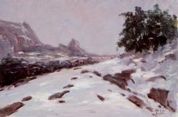 "paisaje Nevado" - view 1