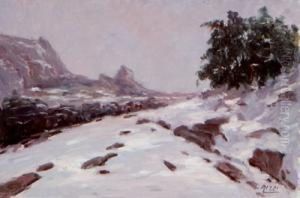 "paisaje Nevado" by Antonio Rizzi