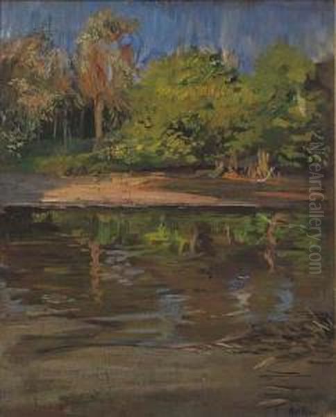 Alberi Sulla Riva Del Lago - view 1