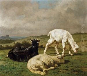 Deux Boucs Et Un Mouton by Louis Marie Dominique Romain Robbe
